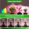 Grow Light, Full Spectrum LED Plant Light for Indoor Plants, Height Adjustable Growing Lamp with Auto On/Off Timer 4 4 Dimmable 4