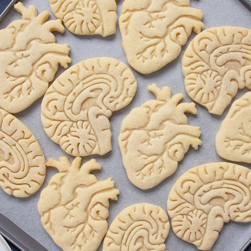 Internal Organ Cookie Embosser Mold Brain Heart Liver Stomach Fondant Cookie Cutter Medical Science Biscuit Mold DIY Baking Tool cookie cutter baking mold cookie mould cookie printing mold fondant cutter
