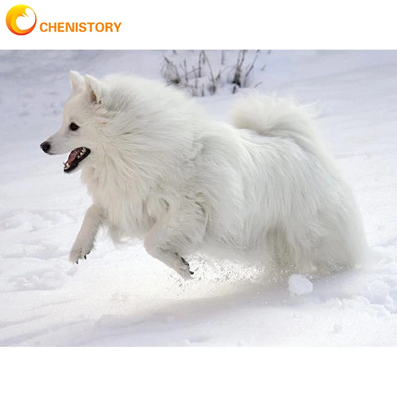 

CHENISTORY 5D DIY Diamond Painting Full Square/Round Animals Diamond Embroidery Paintings White Dog Pattern Home Decor Gift