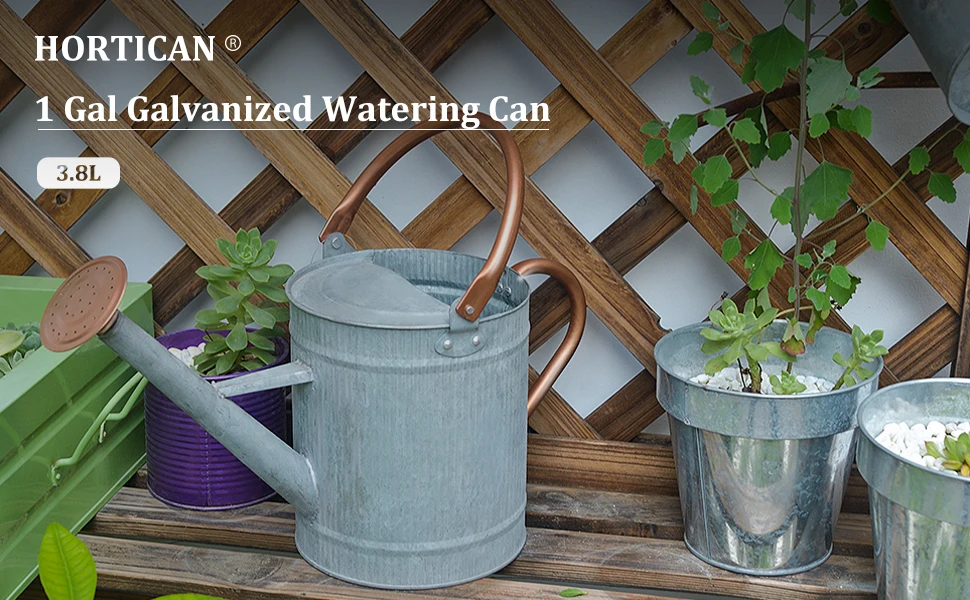 1 Gal watering can