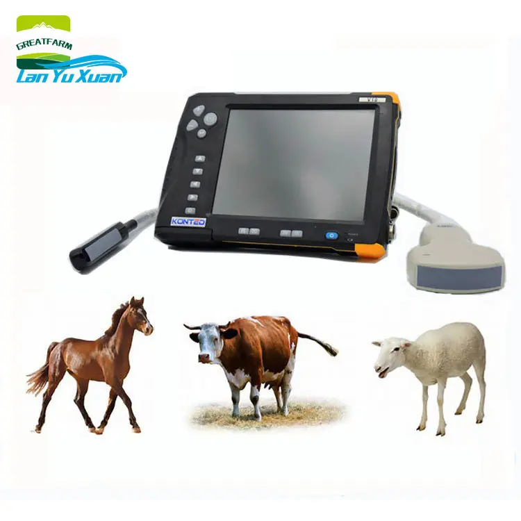 

Ultrasound Equipment Veterinary Pregnancy Detection For Sheep Goat Horse Camel Cow Dog And Cat