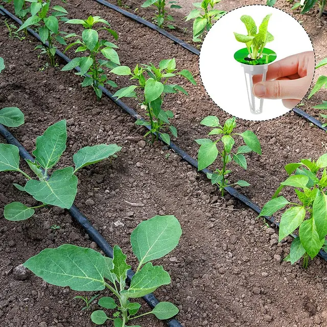 50 Db Hidroponika Soiilless Grow Sipos Ültetési Kosarak Napernyő Matricák Aerogarden Ültetéshez Szükséges Készletekhez - Image 4