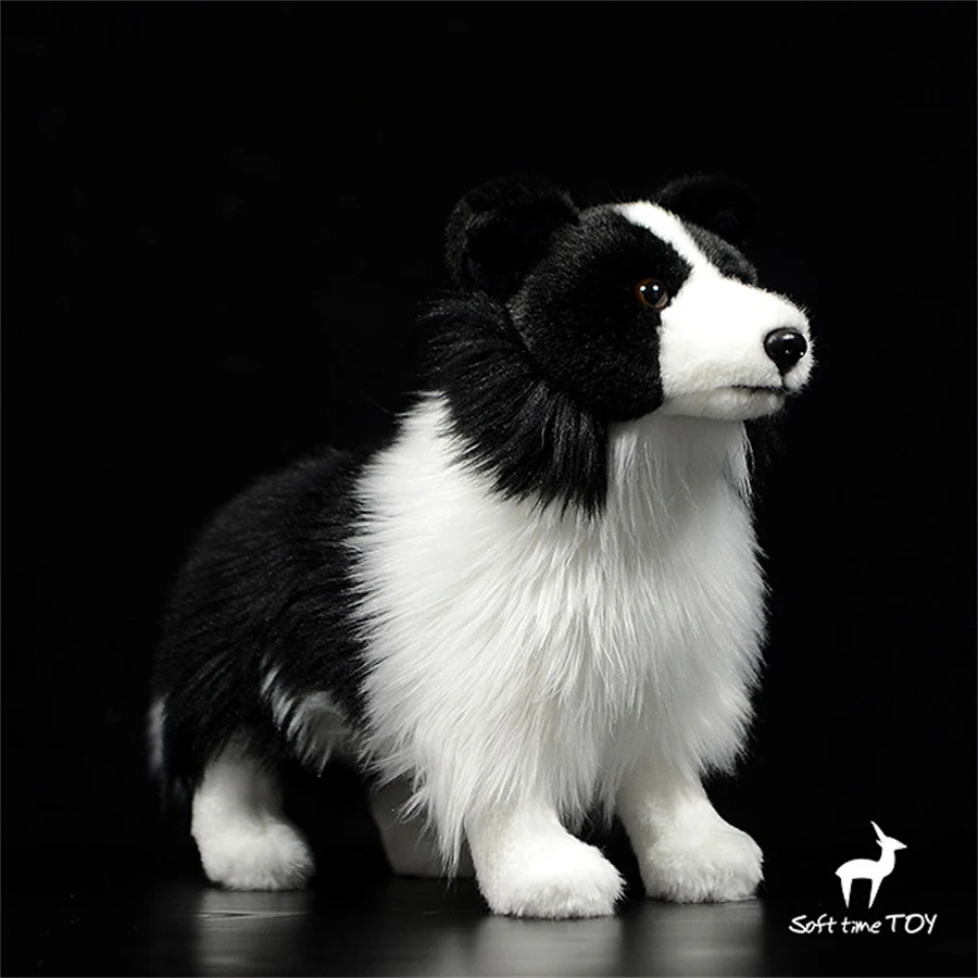 S489684e3e08140b484d607b0f3ed0b37D - Border Collie Gifts