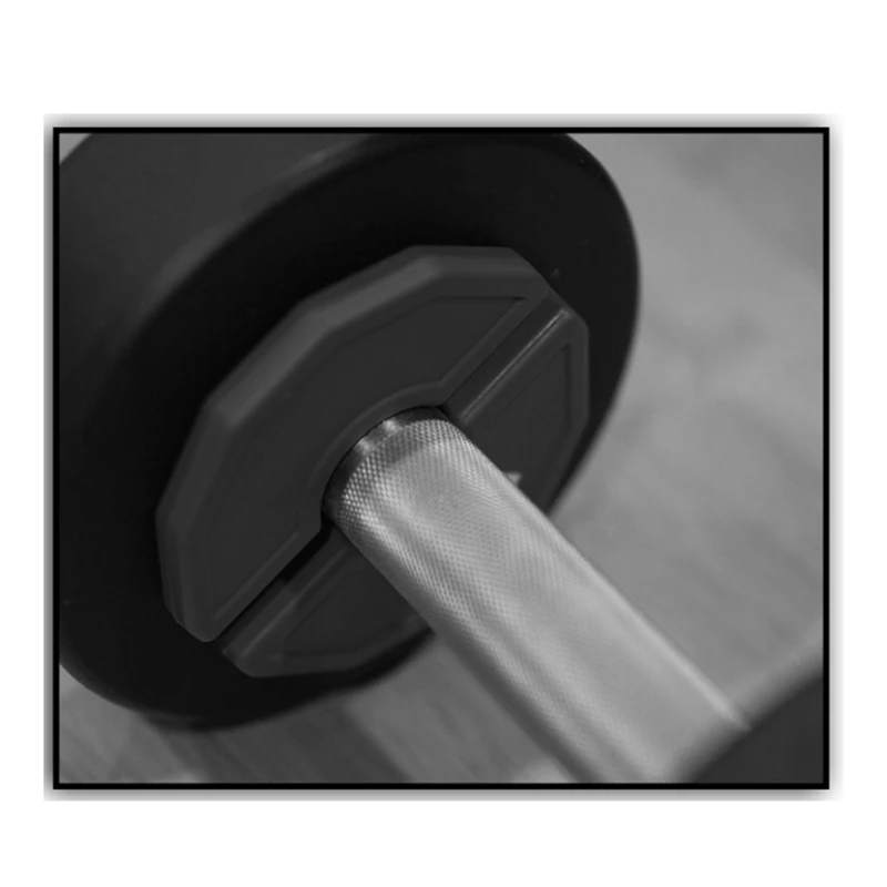 SPORTNOW 4-delige gewichtsplaten set, voor krachttraining, thuis