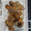 Natural Baltic Amber Loose Gemstone Rough Raw Stone Natural Resin Mineral Specimens 6