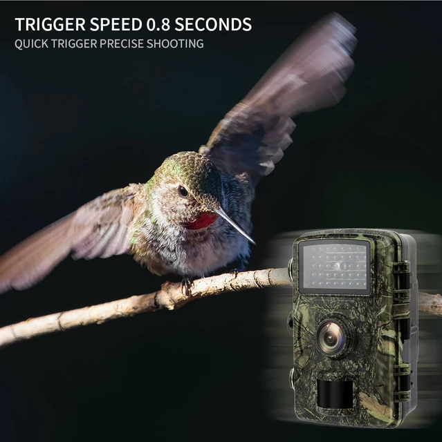 Hunting camera with 32G memory card hunting machine field hunting HD camera suitable for outdoor camping security monitoring 4