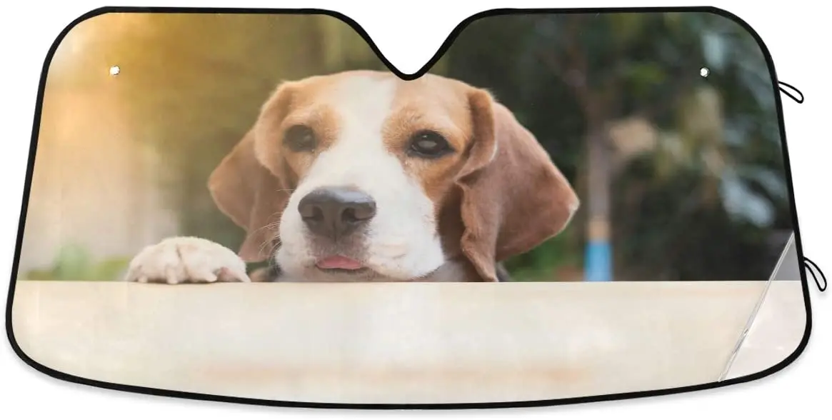 

senya Car Windshield Sun Shade Beagle Dogs are Looking Blocks UV Rays Sun Visor Protector Accordion Folding Auto Sunshade for Ca