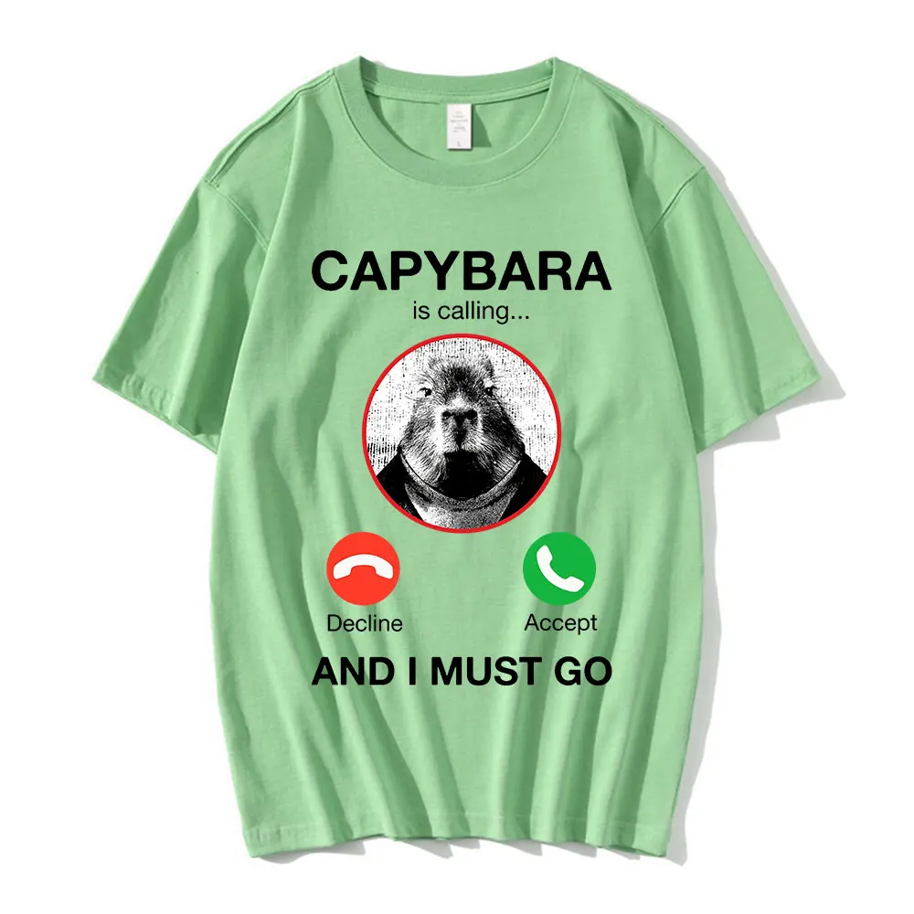 Camiseta capivara kawaii infantil, roupas de desenhos animados infantis,  capivaras fofas, camiseta de amor para bebê, top casual para menino e  menina - AliExpress