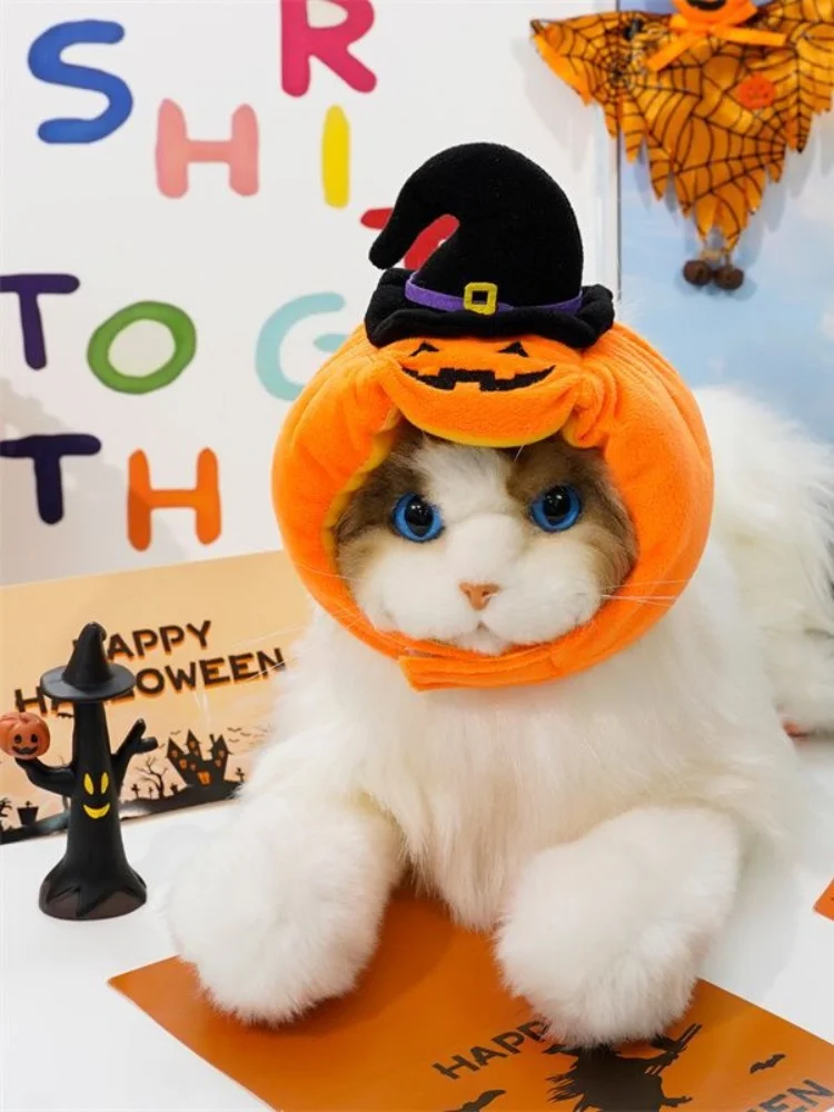 Chapeau d'halloween pour chat et chien citrouille en peluche_voghion.com