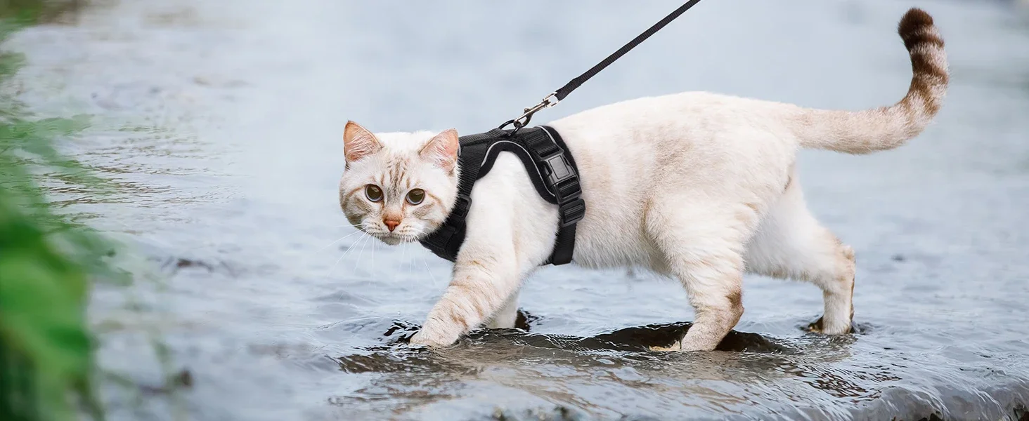 Escape Proof Cat Harness and Leash - Adjustable Soft Vest for Walking