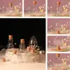 1/2X Heart/Square/Star/Ball/lamp bulb Plastic Bottle With Cork Stopper Message Bottles Jars Vials Gift Art DIY Craft Home Decor 6