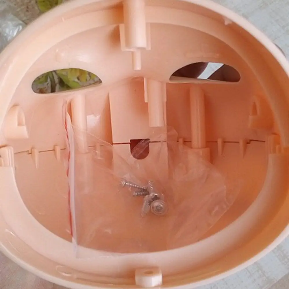 1/6 Blyth DIY Doll Factory Dolls Faceplate With Backplate 30cm Plastic Blyth No Makeup Face and Screw Toys Accessories