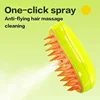 Cat Dog Steamy Brush Steam Brush Electric Sprayer for Massage Pet Grooming tool Shedding 3 in 1 Electric Sprays Massage Combs 5