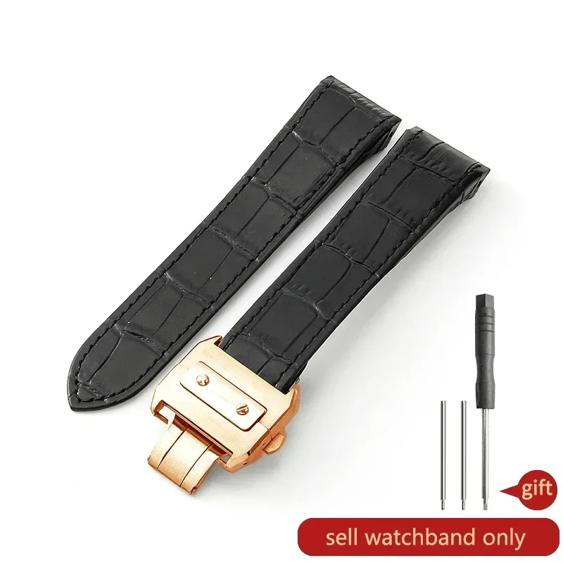 Waterproof Steel Buckle Leather Watch Strap - Black/Brown Cowhide, 24.5mm