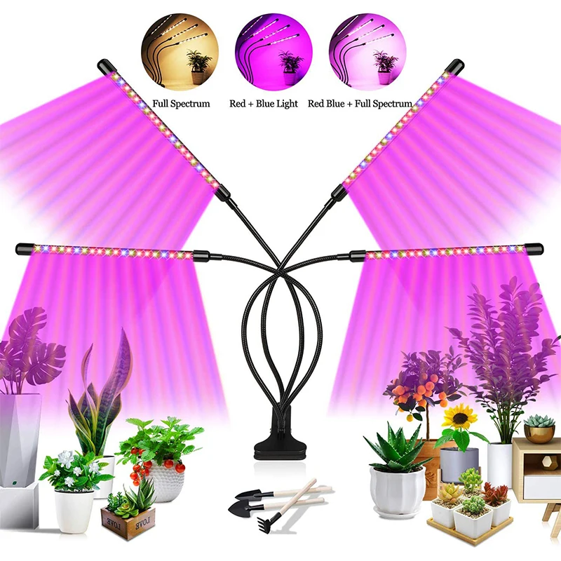 Slide image 9c51f48e814a4f1e8c3de0bf34301ae8