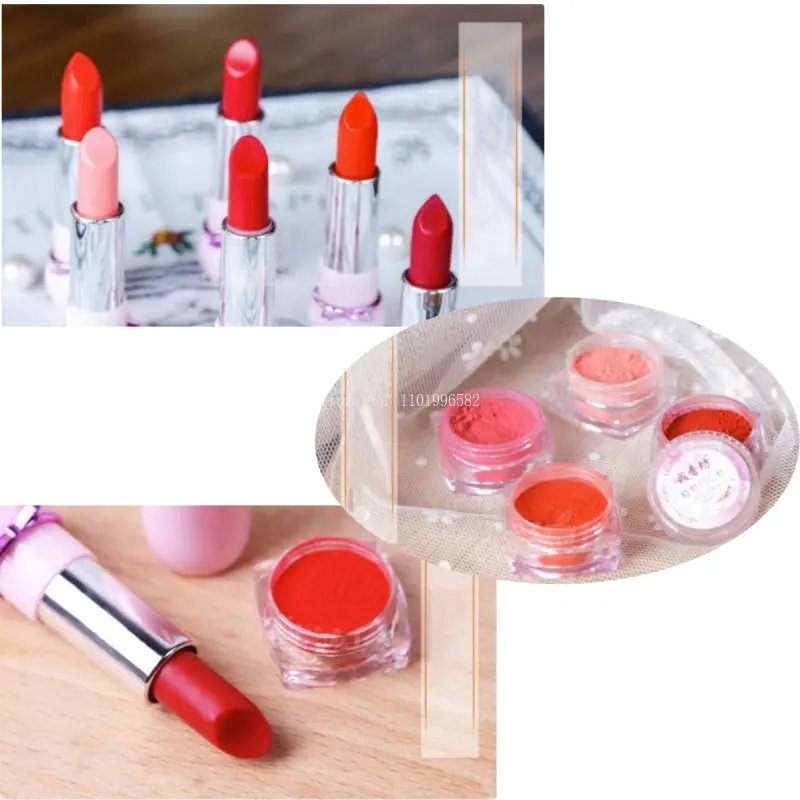 1g Pigment Powder Diy Lip Gloss Powder Material Lip Glaze Pigment for DIY  Lipgloss Making Kit Long Lasting Lips Makeup - AliExpress