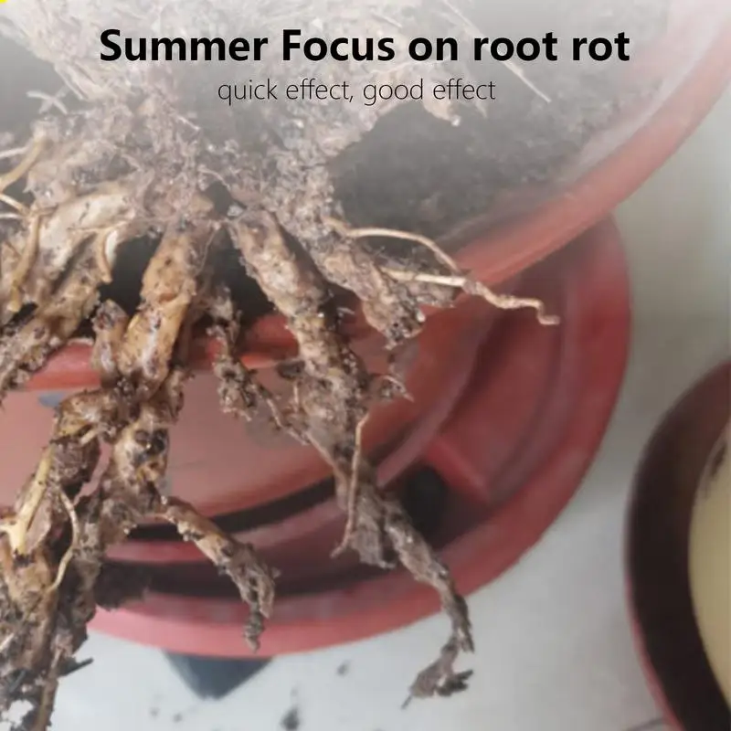 Plant Growth Enhancer Supplement 50ml Liquid Fertilizer Plant Growth Enhancer Plants Nutrient Supplement Promotes Rooting plants