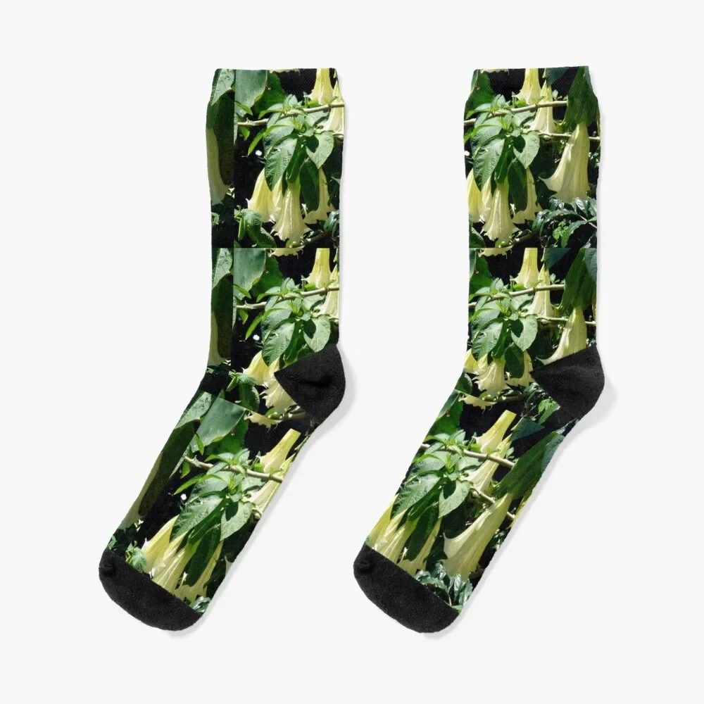 

Datura Blooms - Hawaii Socks hockey halloween luxe Socks Women Men's