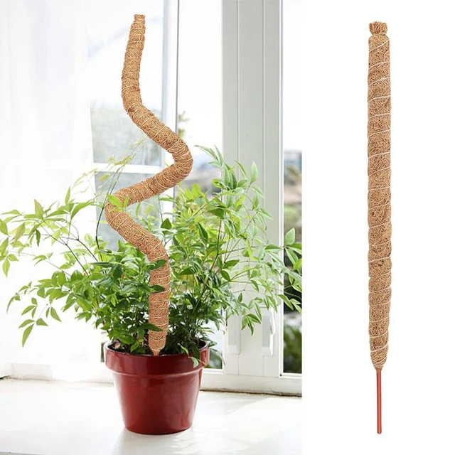 Moss Poles for Climbing Plants - Stackable Plastic Plant Pole Plant Sticks  Sphagnum Moss Pole for Climbing Plant Support - AliExpress