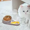 Tilted Cat Food Bowls Elevated Dog Feeder For Feeding Anti-Tip Cat Feeding Station Tilted Dog Food And Water Bowl Set For Water 1