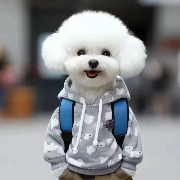 Beike Pet Products Global Store