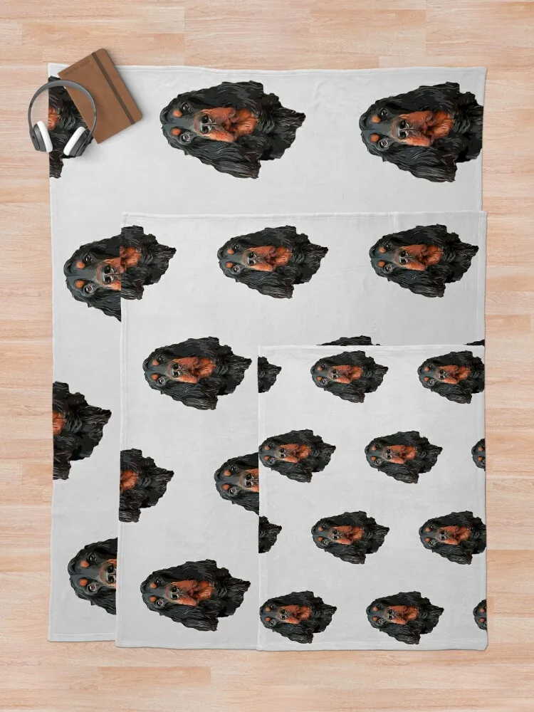 Gordon ����-���� ������ �ʻ�ȭ ��� �ʴ��� ������ ���, �ʸ� ���� �ö��� ķ�� ���