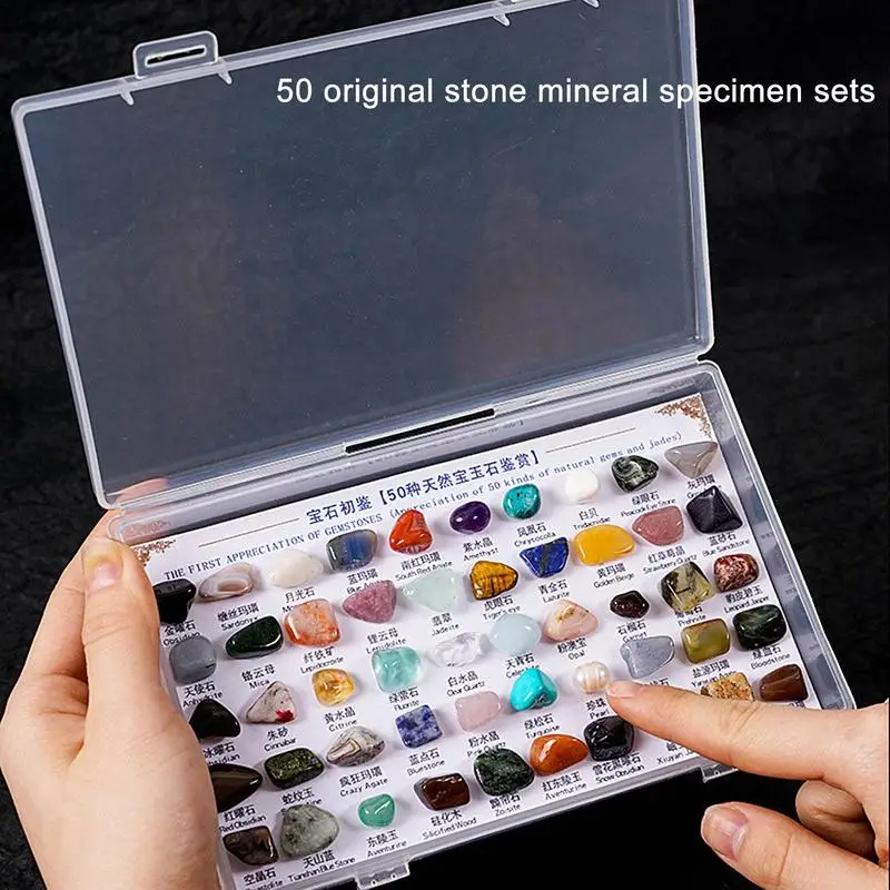 Rock Collection Box Natural Gemstone Crystal Sets Mineral Science Kit  Geology Rock Specimen For Young Geologists Kids Gifts - AliExpress