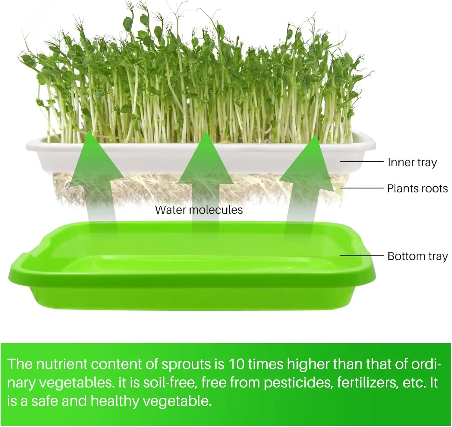 Hydroponic Germination Tray Microgreens Sprouter Tray Hydroponic Sprouting Horticultural Systems Garden Nursery Potted
