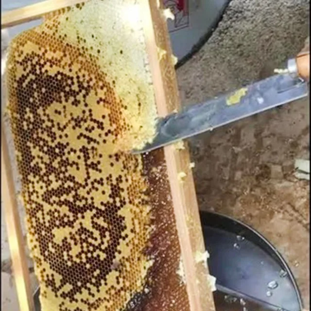 1 Pc Méhészeti Szerszámok Kaparó Kés Méh Hive Z-Alakú Apikultúra Vegye A Méz Rozsdamentes Acélból Készült Berendezést - Image 5