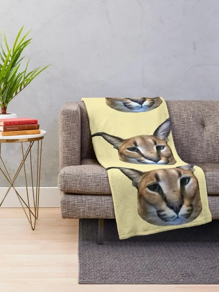 ū �÷��� ������ ���, ������ �ܿ� ���� ���� ���� ���,  ��� �����̳�