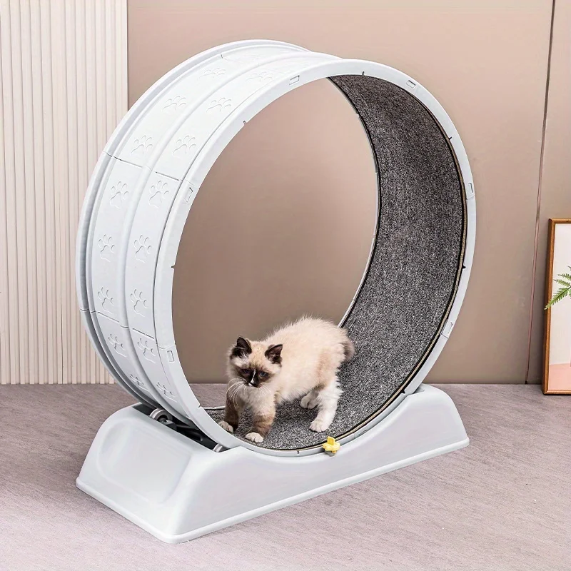 Cat exercise wheel treadmill with locking mechanism and removable carpeted runway