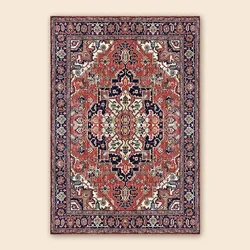 Retro Persian Type Carpet for Home Living Room Bohemian Carpet Bedroom Bedside Large Area Rugs Home Decoration Entrance Door Mat