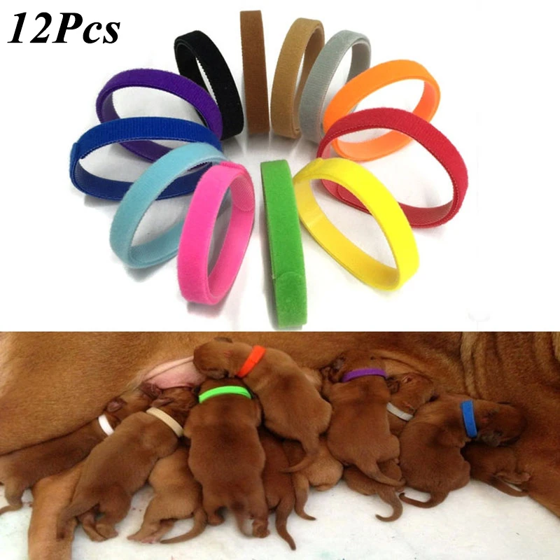 Collar ajustable de nailon para mascotas, Collar de 12 cachorros y recién nacidos, con identificación, para perros pequeños y gatitos| | - AliExpress