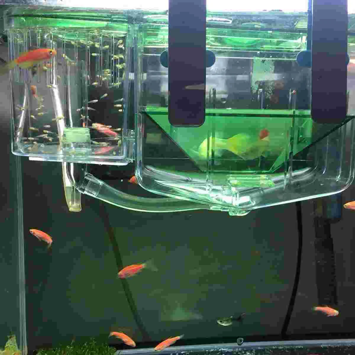 Transparent Acrylic Cover Isolated Breeding Tank Fish Hatching Boxes Aquariums Pet Products Fish Tank Breeding Box Aquarium