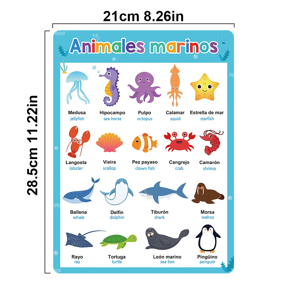 Spanish English Bilingual Words Learning A4 Posters Charts for Kids Kindergarten Classroom Decoration Teacher Teaching Aids 2