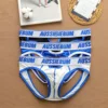 Men's mesh ice triangle pants breathable cool youth underwear Large back hollow panties 1