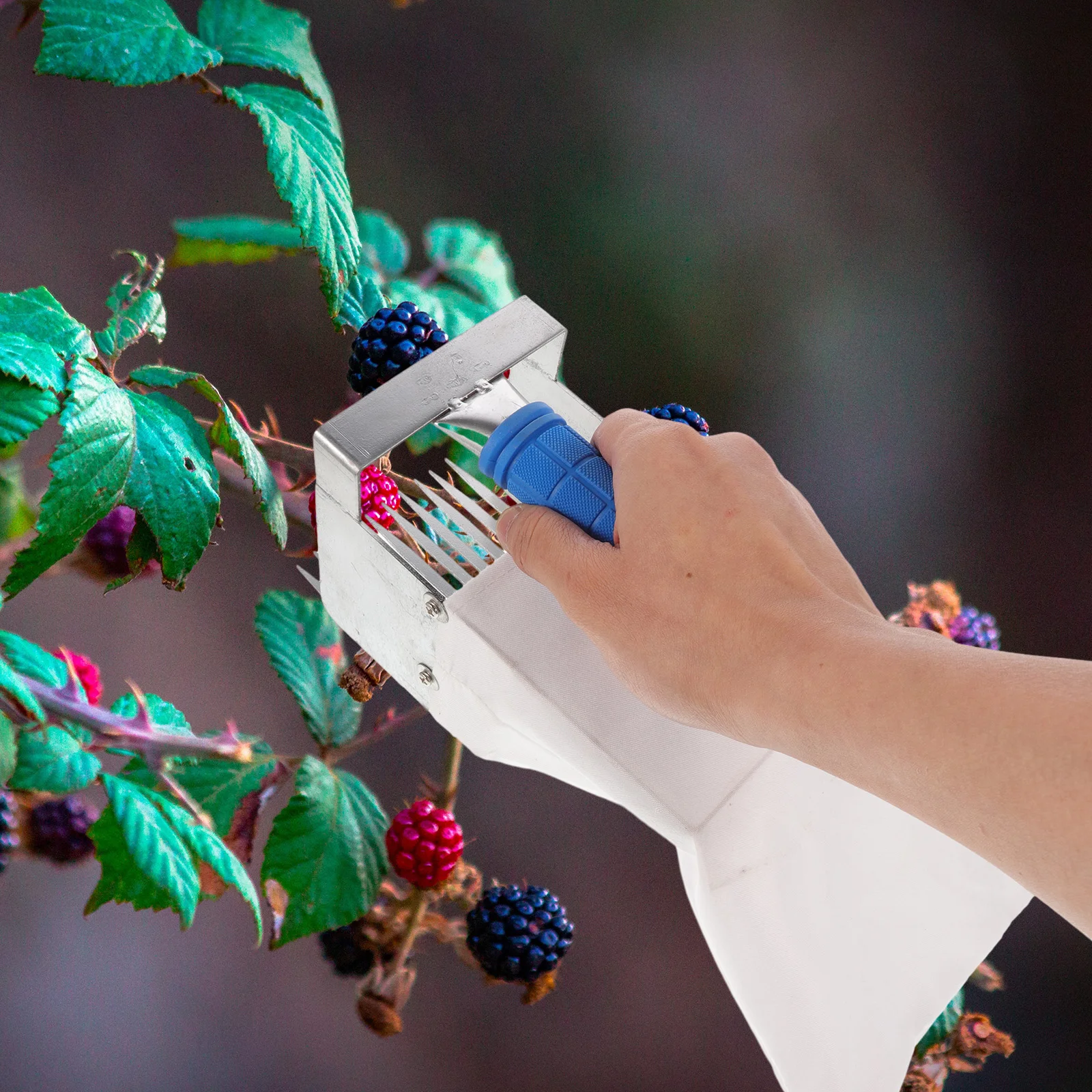 Blueberry Picking Tools Staff Combs Fruit Equipment Cloth Huckleberry Scoop Picker For Home