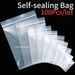 100 - Pack Clear Reusable Zip Lock Bags - Small Transparent Plastic Storage Bags - 0.06mm (12x18cm)