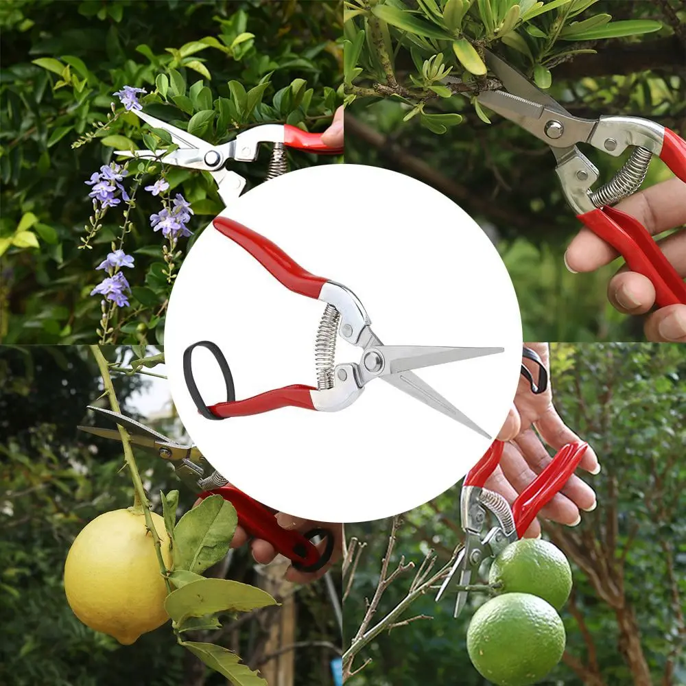 Description Picture 2 of item1Pc Garden Tools Secateurs Bonsai Shears Metal Gardening Scissor Pruning Tool Hand Cutter Fruit Picking Weed Household Potted