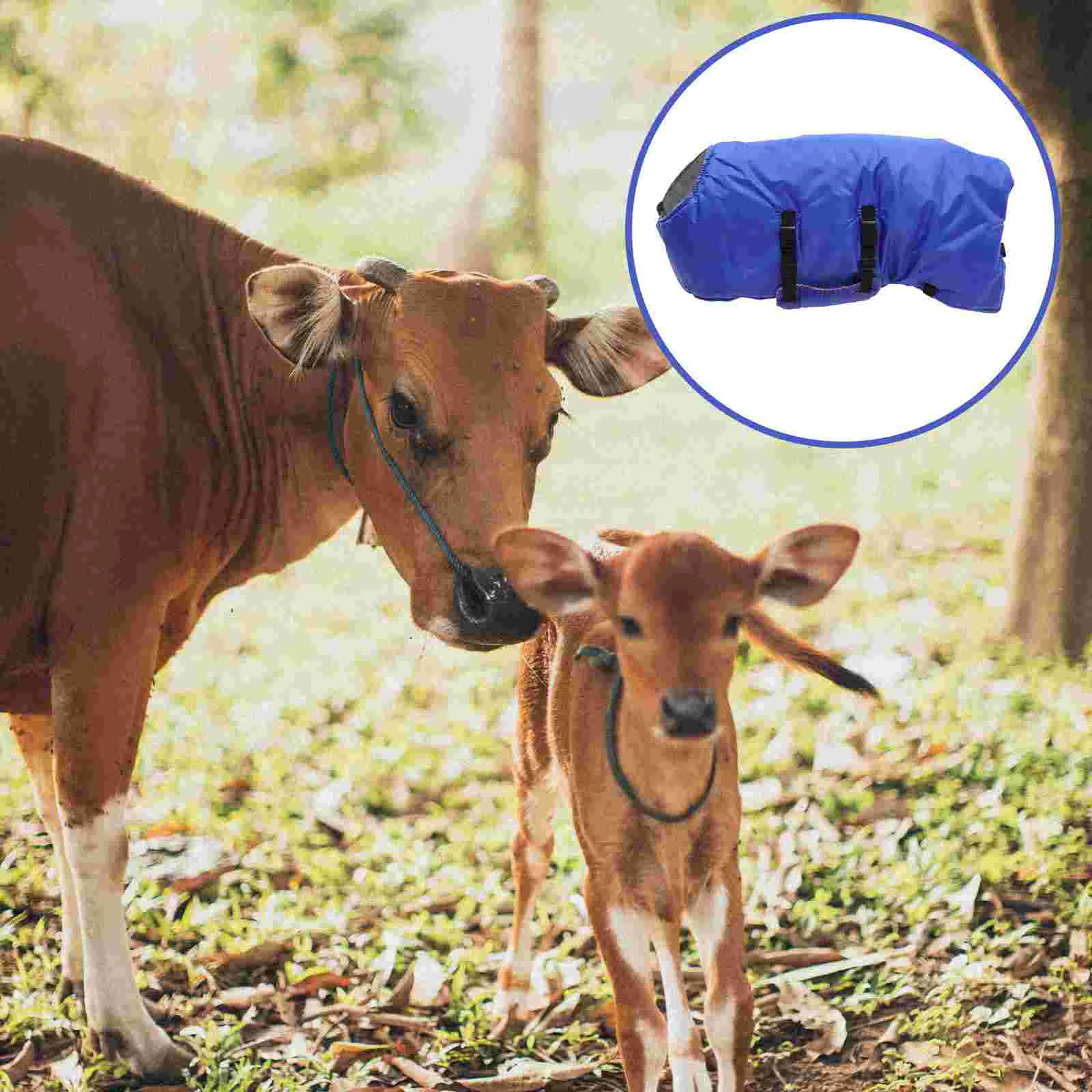 Stocking Calf Vest Man Fleece Blanket Livestock Flannel Horse Blankets for Winter Lamb Belly Protection 2