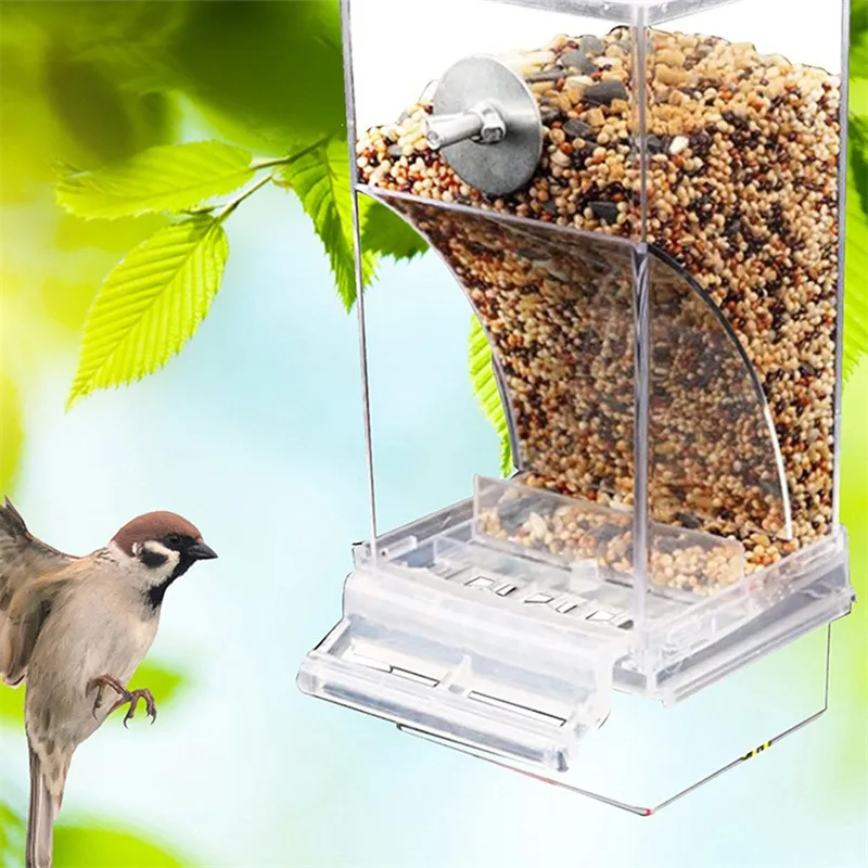 Automatic Pet Bird Feeder 2