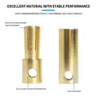 ขั้วต่อแบบกล้วยทองแดงแท้สำหรับโมเดลเครื่องบิน ขนาด 2/3/3.5/4/5/5.5/6/6.5/8 มม. จำนวน 40 ชิ้น ชุบทอง สำหรับมอเตอร์ไร้แปรงถ่าน 2