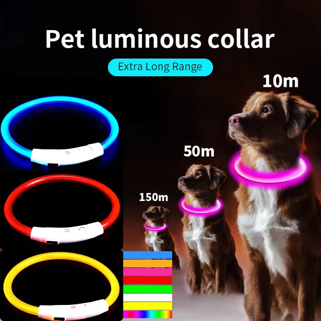 USB Rechargeable LED Fiber Optic Collar for Pets Luminous Anti-Lost Dog Accessory Outdoor Light Collar 3