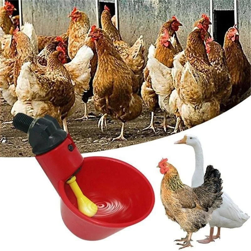 Poultry Drinking Cups Poultry Water Dispenser Poultry Feeder Poultry Waterer 5/10/20PCS Chicken Drinking Cup Automatic Drinker Chicken Feeder Plastic Poultry Waterer Drinking Water Feeder Chicks Duck Goose