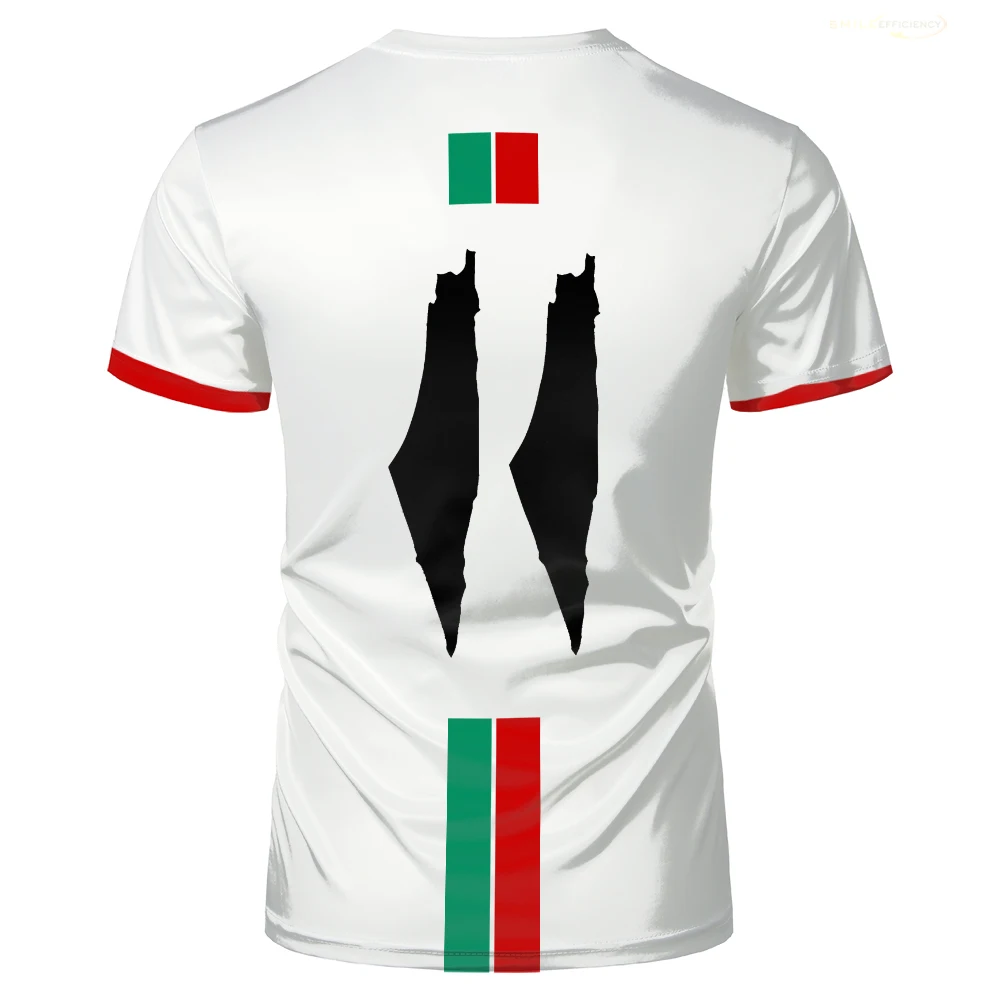 Maillot Domicile Palestine 2022-23 - Capelli Vert Et Blanc - Taille M (Neuf)