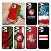 Belarus Flag Phone Case Cover For iPhone 15 16 14 XR XS 11 12 13 Mini Pro MAX Plus Coque 1