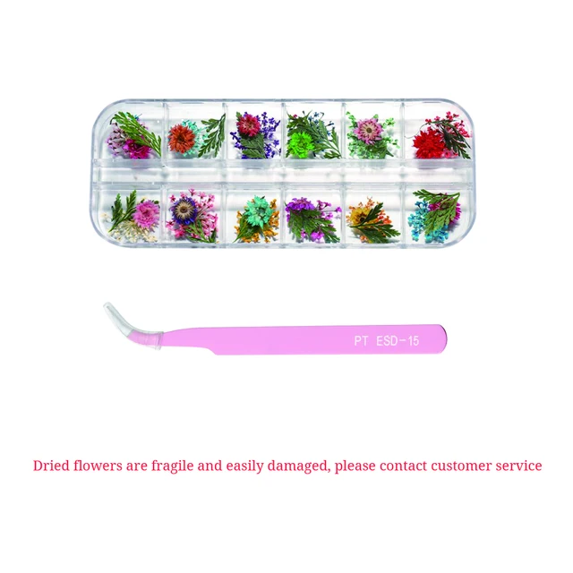 1Box Dried Flowers Dry Plants for Rsein Molds Fillings Epoxy Resin Pendant Tweezers Jewelry Making Craft DIY Nail Art Decoration SET 02