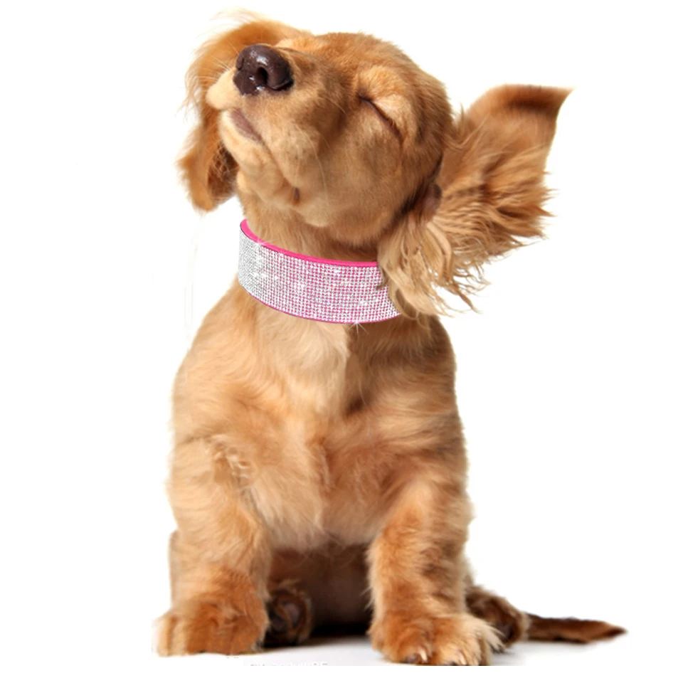 Collare Per Cane In Cristallo Diamante Bling Bling - Foto 9