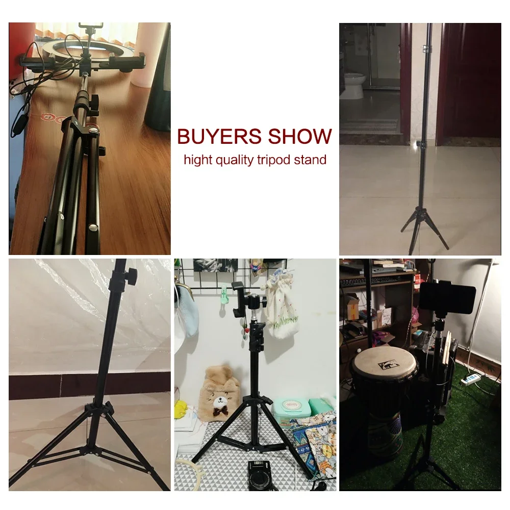 Slide image 3025279e45af4a878e69802c4f1210a1