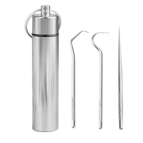 Toothpicks Pocket Set Stainless Steel Tooth Pick Sticks Fruit Fork Reusable Toothpick With Holder For Outdoor Camping